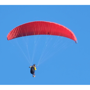 Guilherme Broering Pfeifer